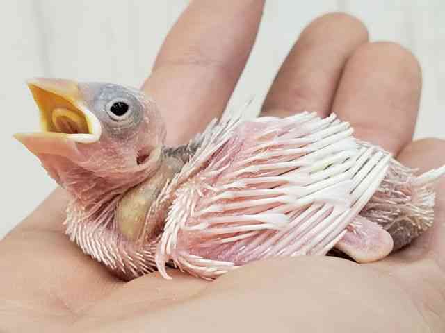 u`E