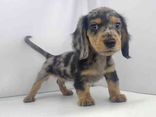 ~j`AE_bNXthEOwA[mVo[_bvn