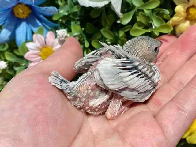 u`E