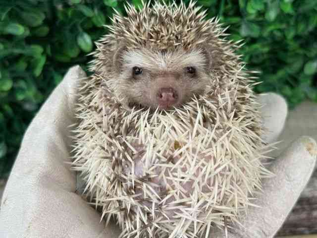 nlY~^sO~[wbWzbO