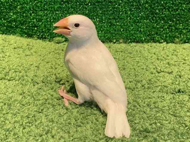 u`E