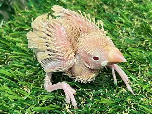 u`E