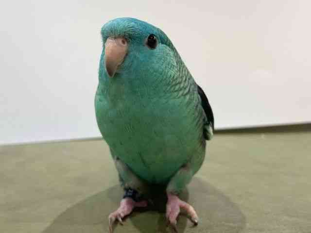 TUi~CR
