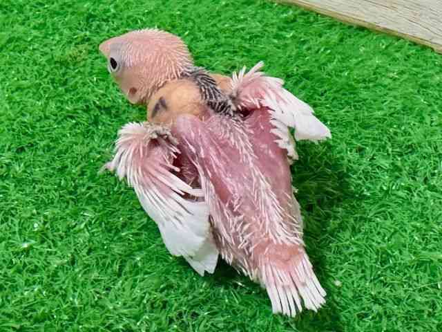 u`E