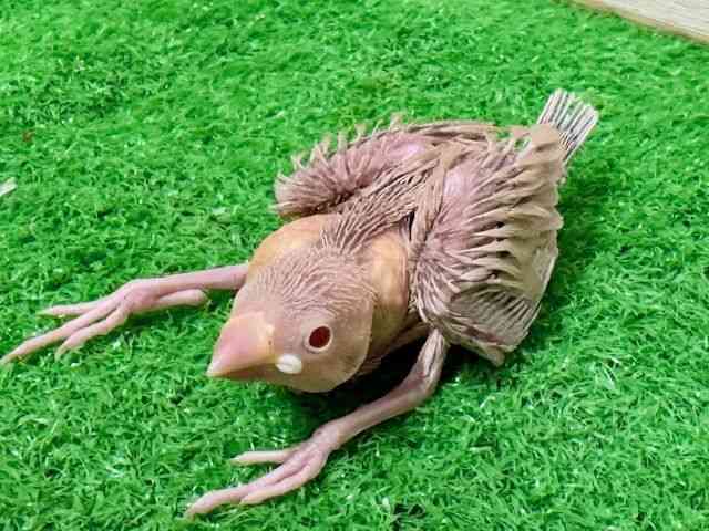 u`E