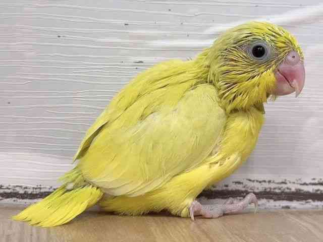 }n