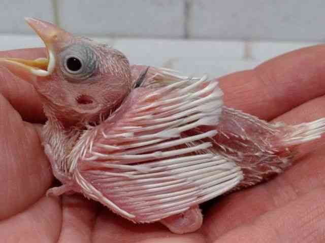 u`E