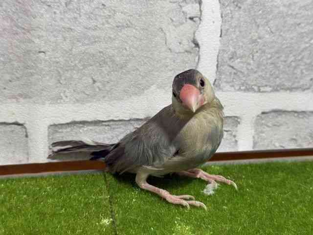 u`E