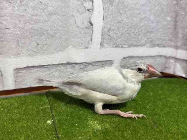 u`E