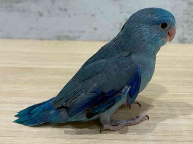 }n
