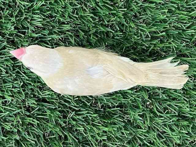 u`E