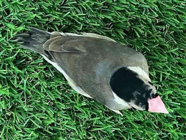 u`E
