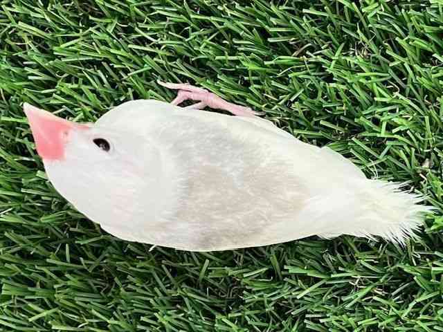 u`E