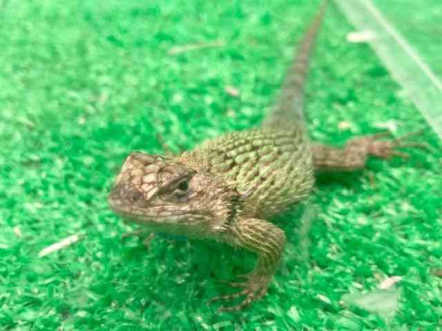 ̑igJQnj
