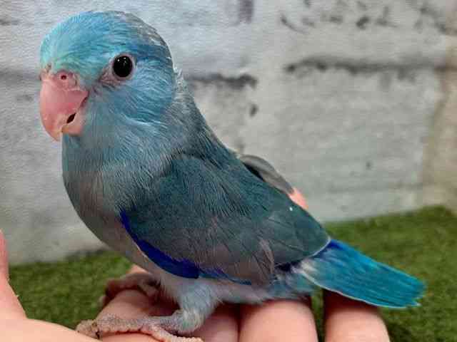 }n
