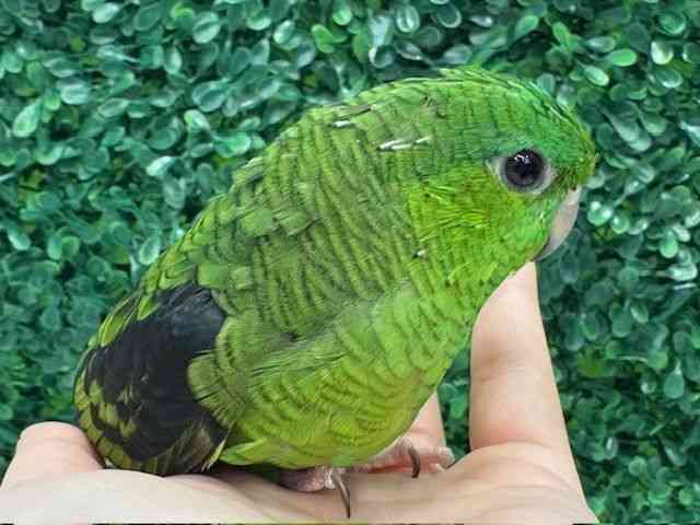 TUi~CR