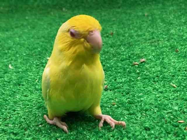 }n