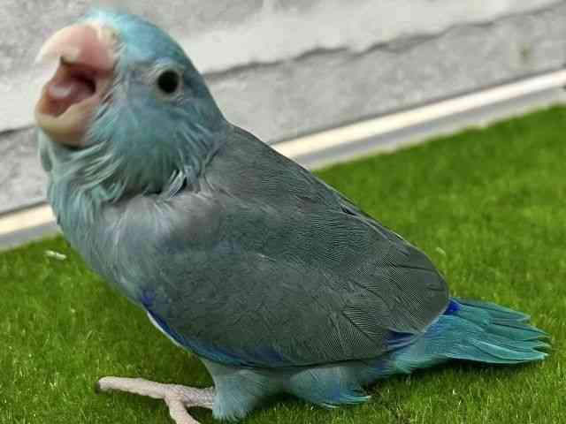 }n