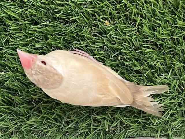 u`E
