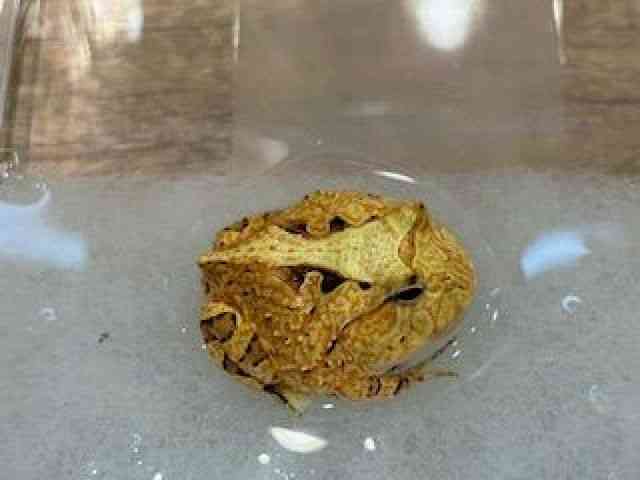 cmKGȋj