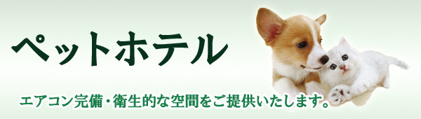 zẽC[W
