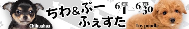 큕Ձ[ӂ