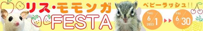 XEKtFX^