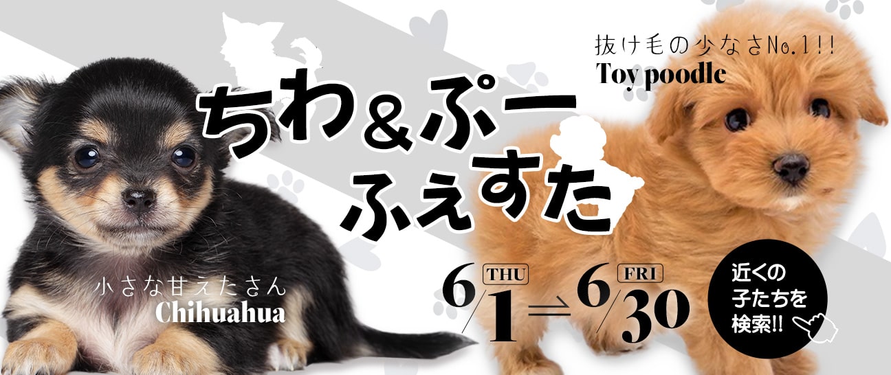 큕Ձ[ӂ