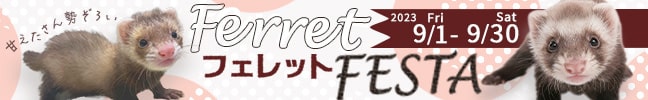 tFbgtFX^