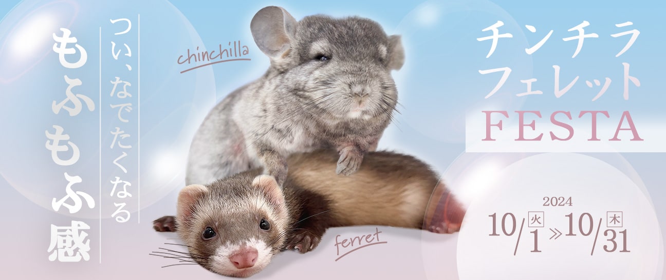チンチラフェレットモルモットハリネズミペットハウス小動物用品