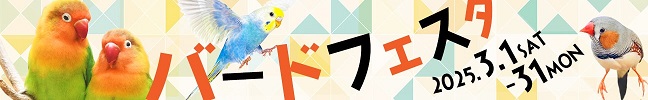 o[htFX^