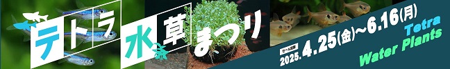 egEՂ