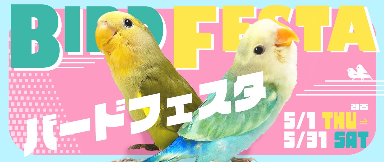 o[htFX^