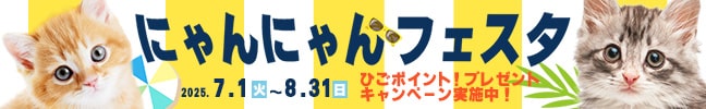 ɂɂtFX^