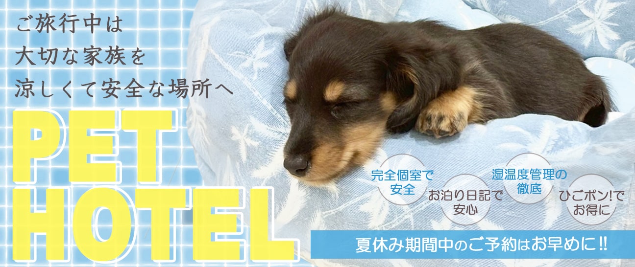 ybgze\t
