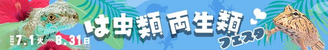 ঒ށEރtFX^