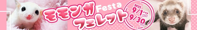 KtFbgtFX^