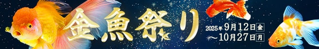 Ղ