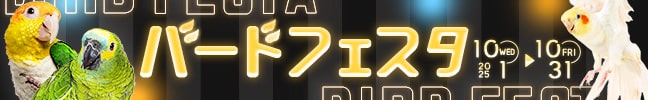 o[htFX^
