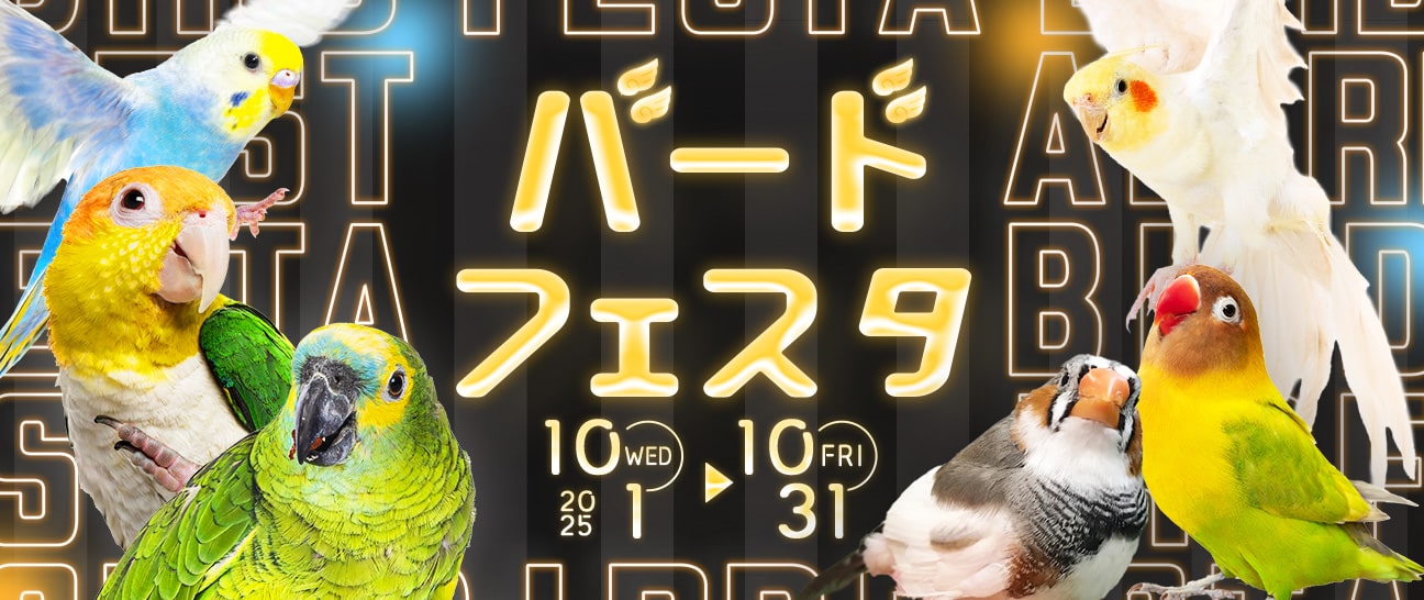 o[htFX^