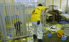 支援活動のご報告