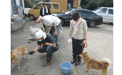 支援活動のご報告