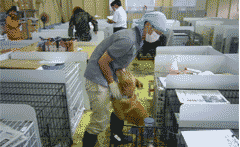 支援活動のご報告