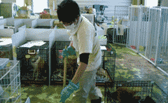 支援活動のご報告