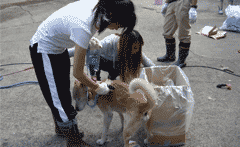 支援活動のご報告