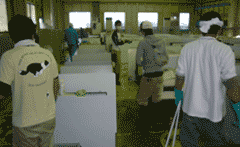 支援活動のご報告