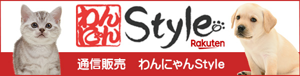 ʐM̔ɂStyle