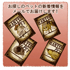 WANPET(ウォンペット)