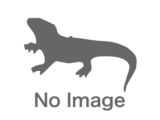 OY