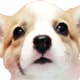 EFVER[M[Eyu[N